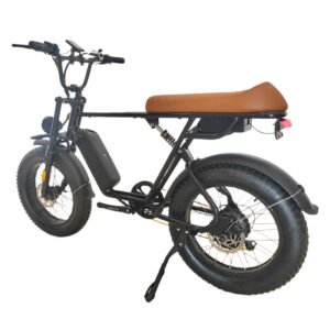 Electric bicycle company liideway M9