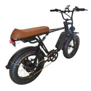 Electric bicycle company liideway M9