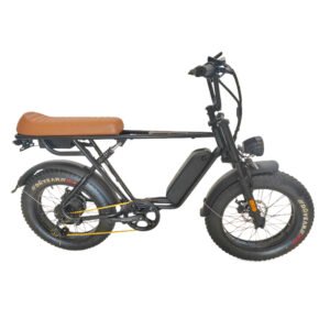 Electric bicycle company liideway M9