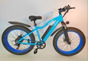 electric bike 1000w liideway K2