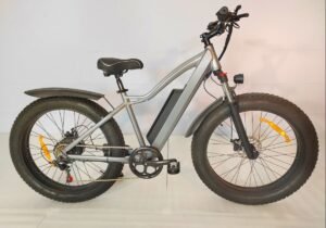 electric bike 1000w liideway K2