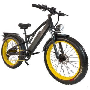 E-bike manufacturer liideway M21