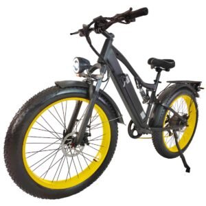 E-bike manufacturer liideway M21
