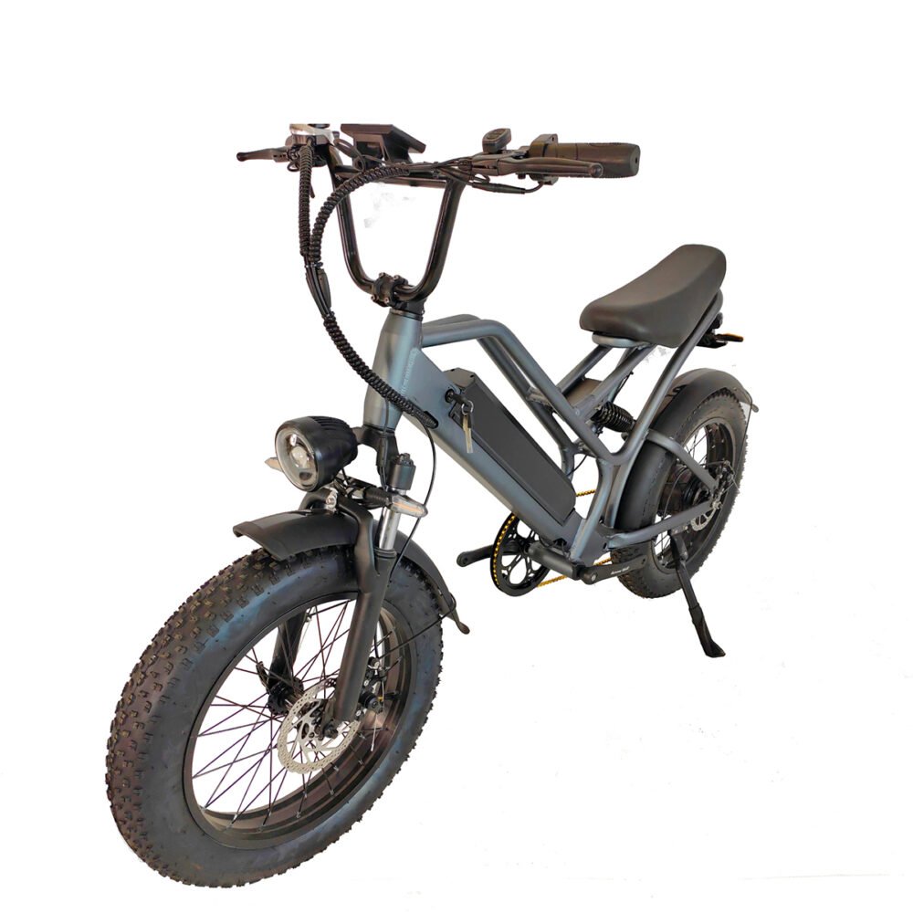 Fat tire e-bike liideway M11