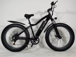 electric bike 1000w liideway K2
