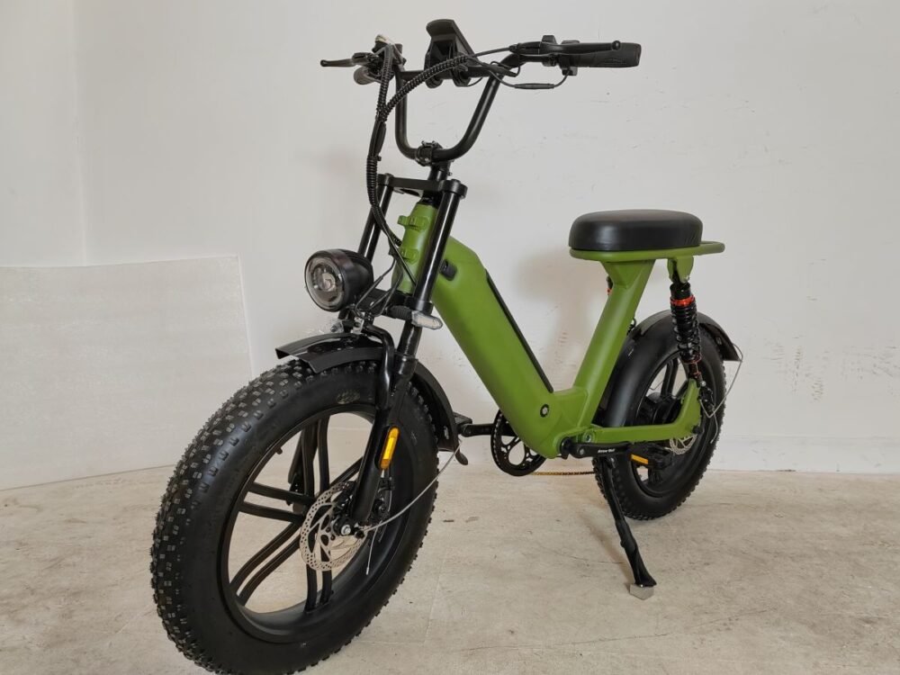 Electric mountain bike liideway M14