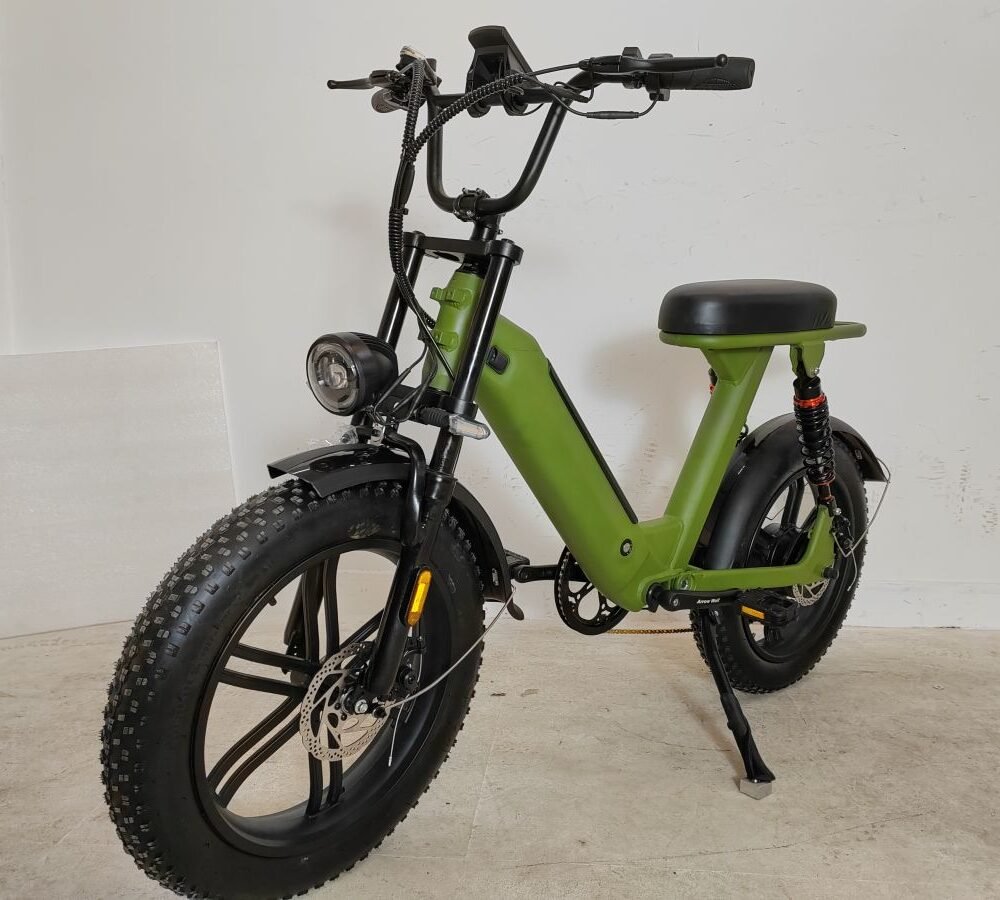 Electric mountain bike liideway M14