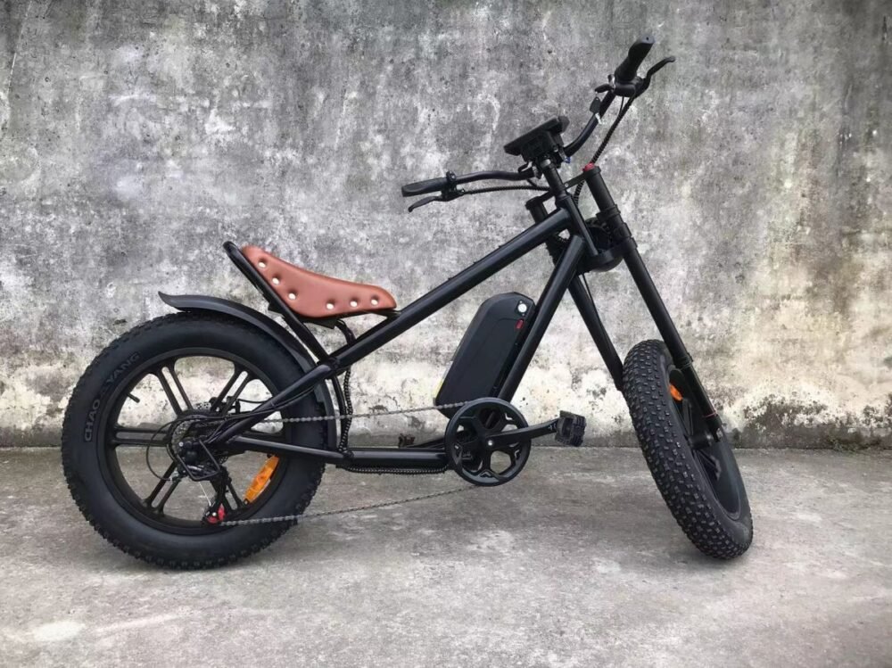 Electric bike liideway M1plus