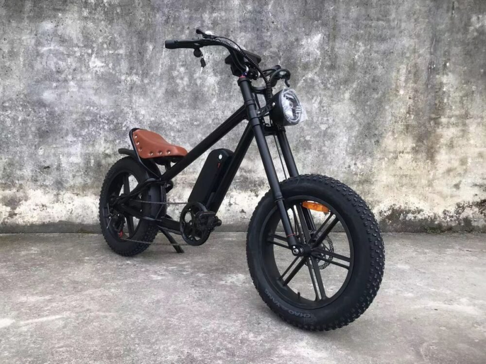 Electric bike liideway M1plus