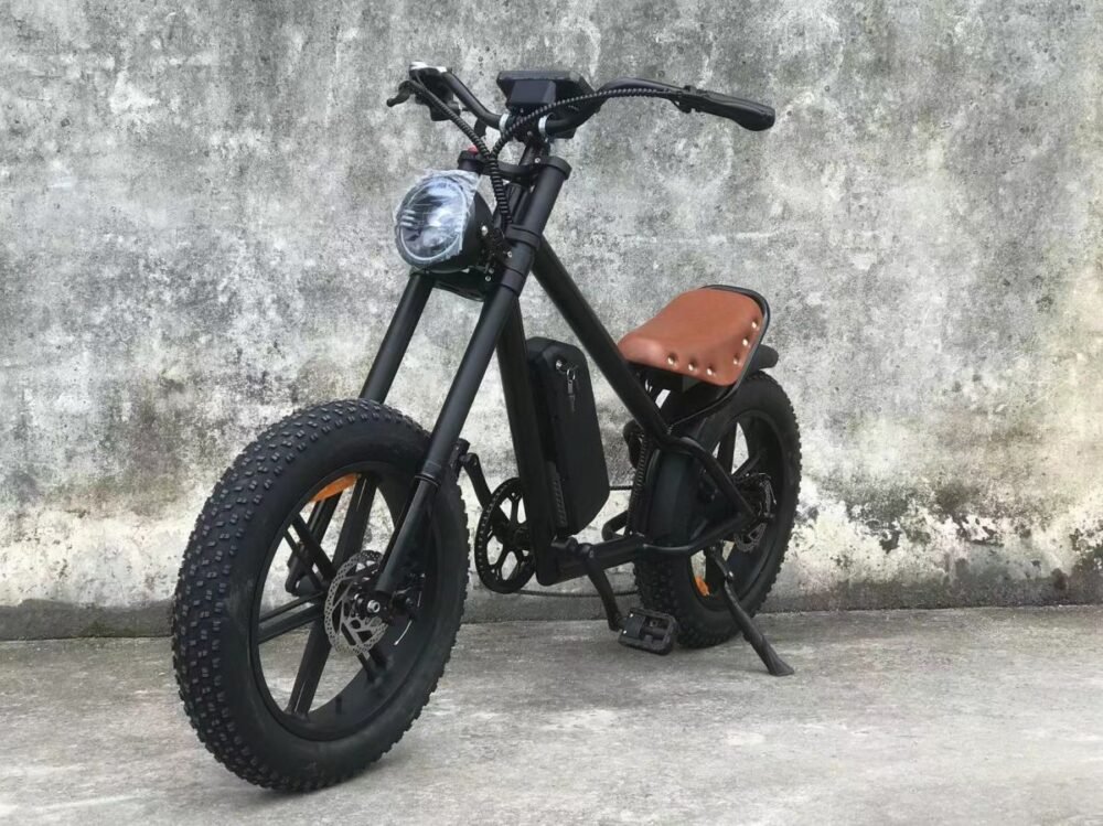 Electric bike liideway M1plus