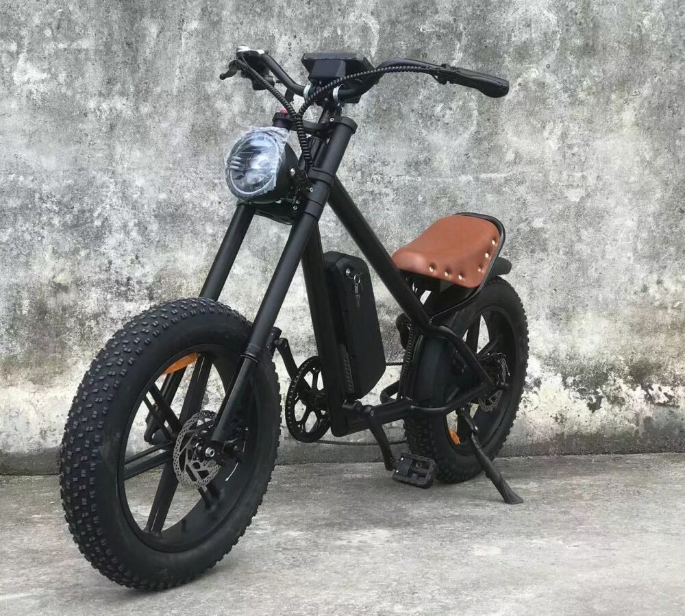 Electric bike liideway M1plus