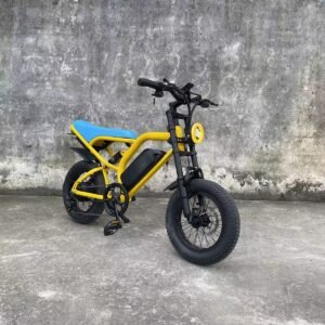 E-bike liideway M18