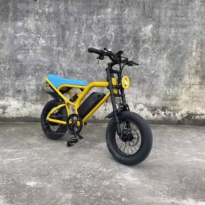 E-bike liideway M18