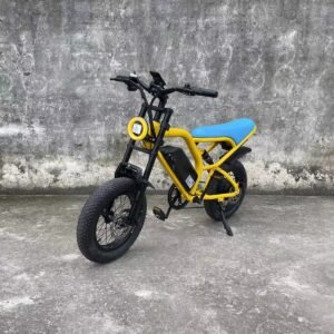 E-bike liideway M18