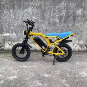 E-bike liideway M18
