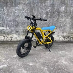 E-bike liideway M18