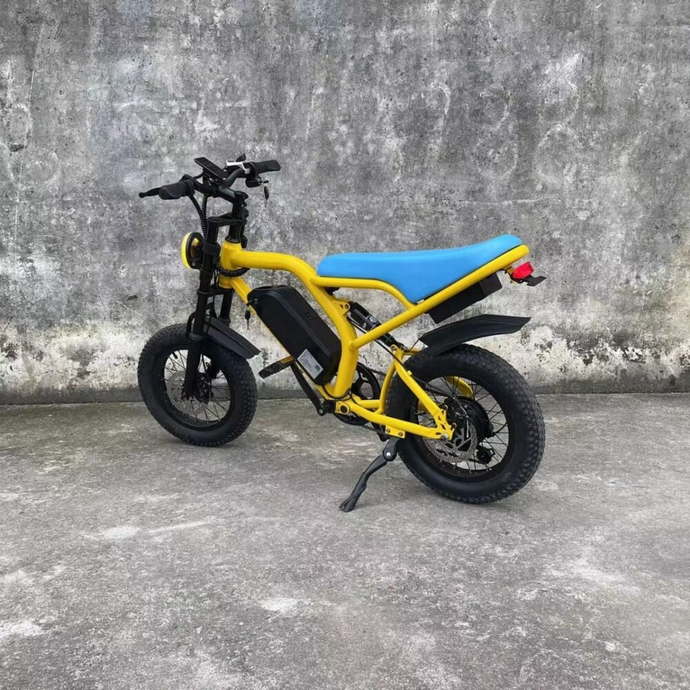 E-bike liideway M18