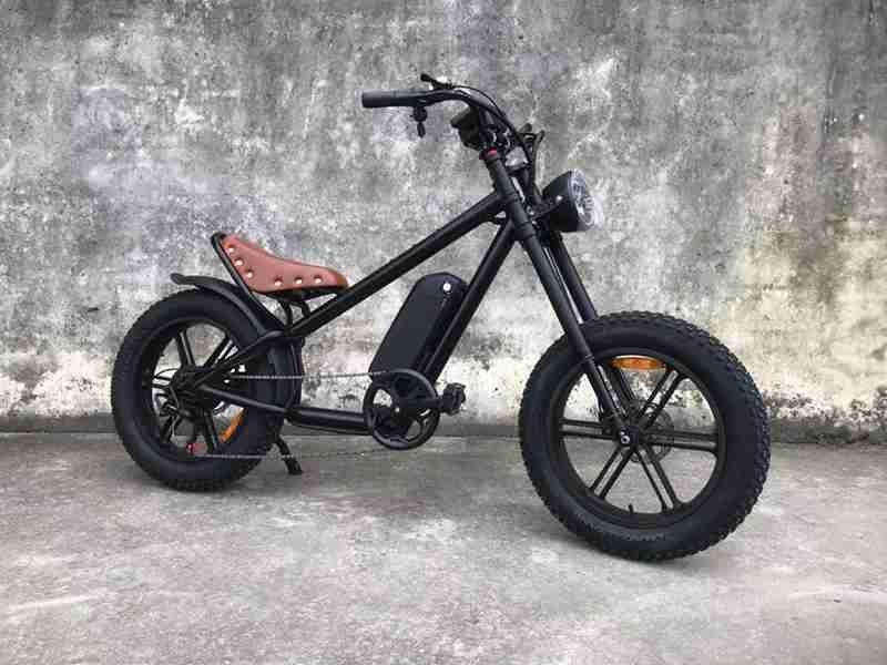 1000 watt electric bike kit