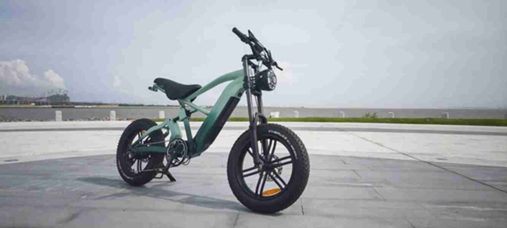 14inch electric bike