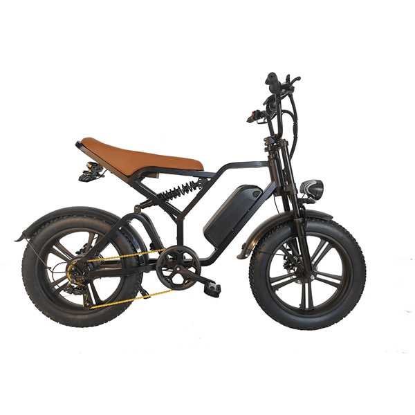 250w electric folding bike