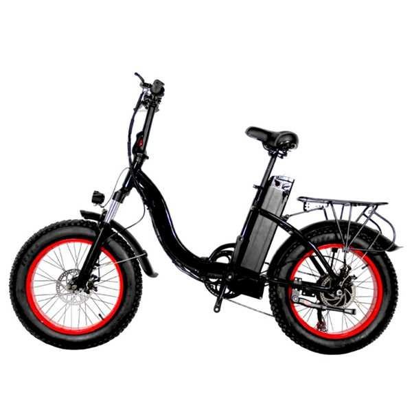 48 v electric bike