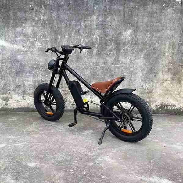 48 volt electric bike
