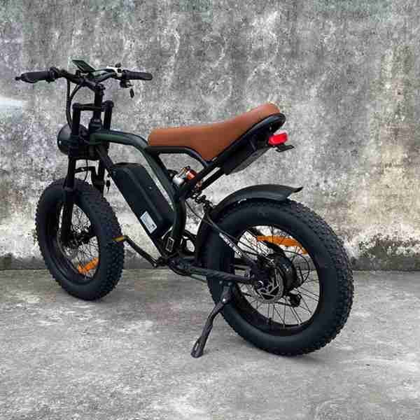 48v 250w electric bike and scooter