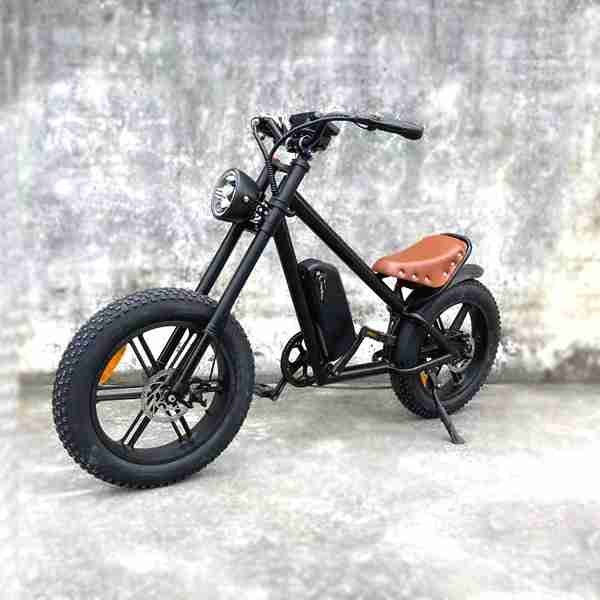 500 electric bike