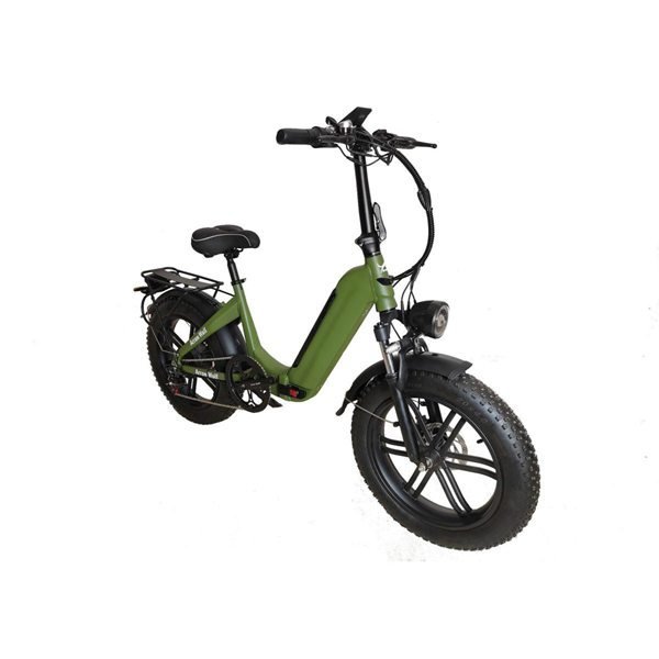 accolmile electric bike 750w