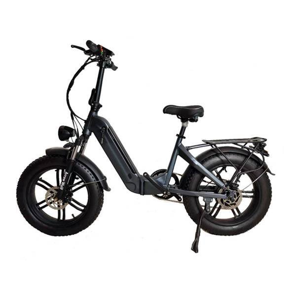 Manufacture Electric Bike
