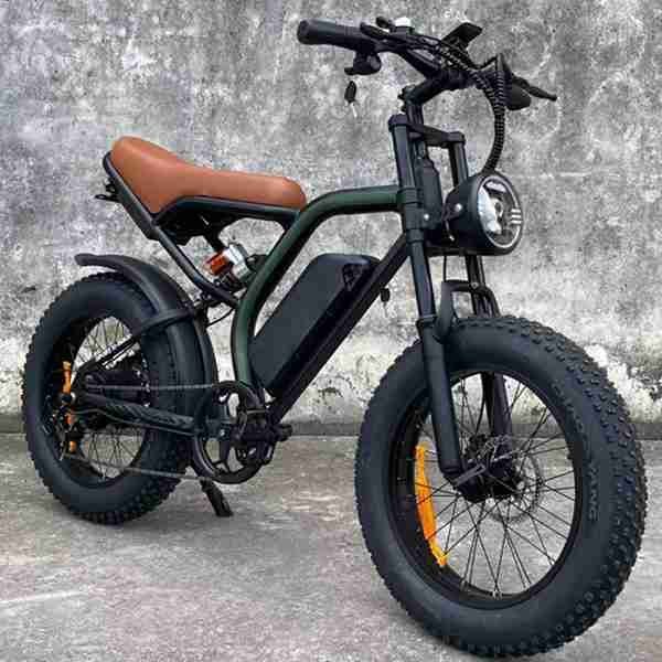 bicycle 500w 750w ebike cargo electric bikes