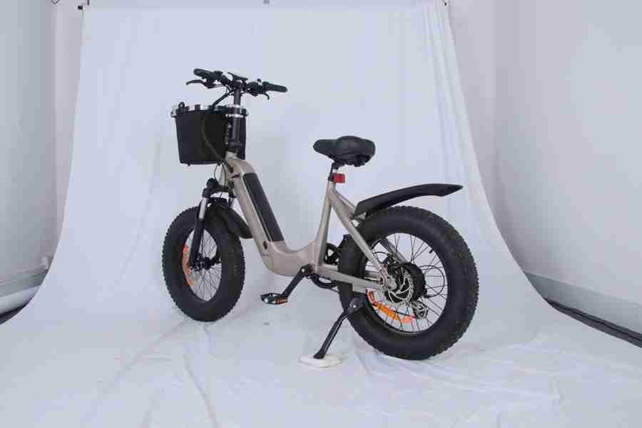 big battery electric bike