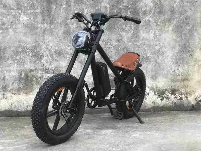 cargo e-bike electric cargo bike