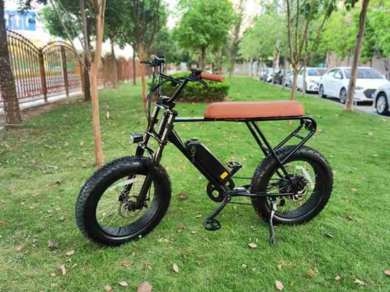 china electric bike 500w