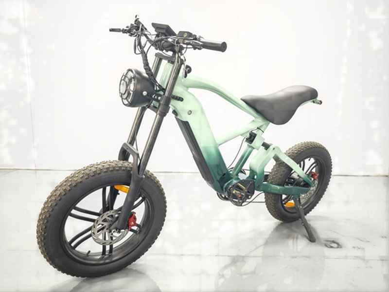 citycoco bike electric