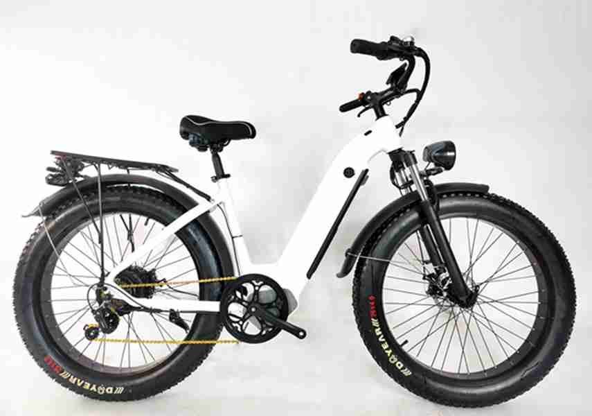 citycoco electric bike