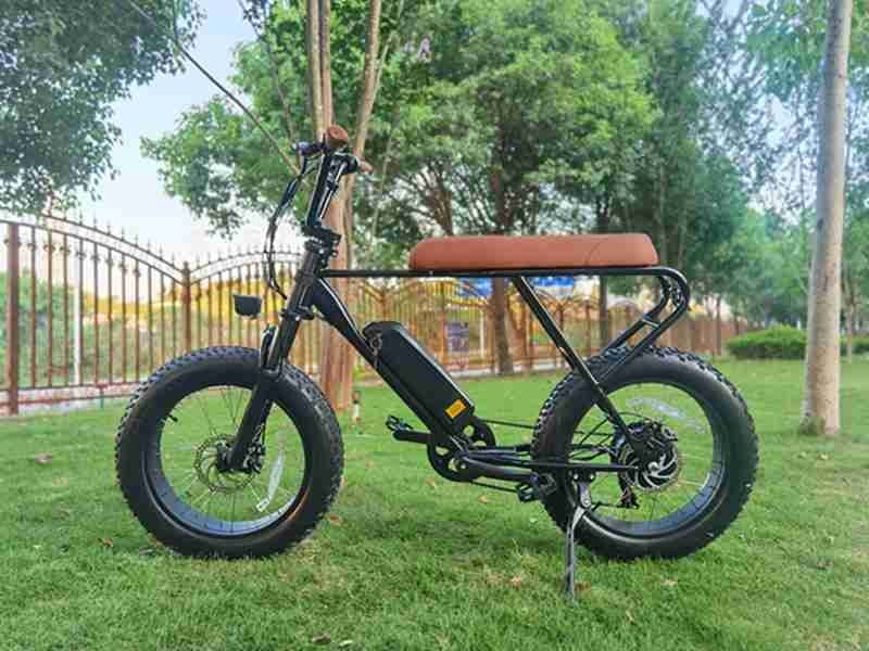daul motor electric bike