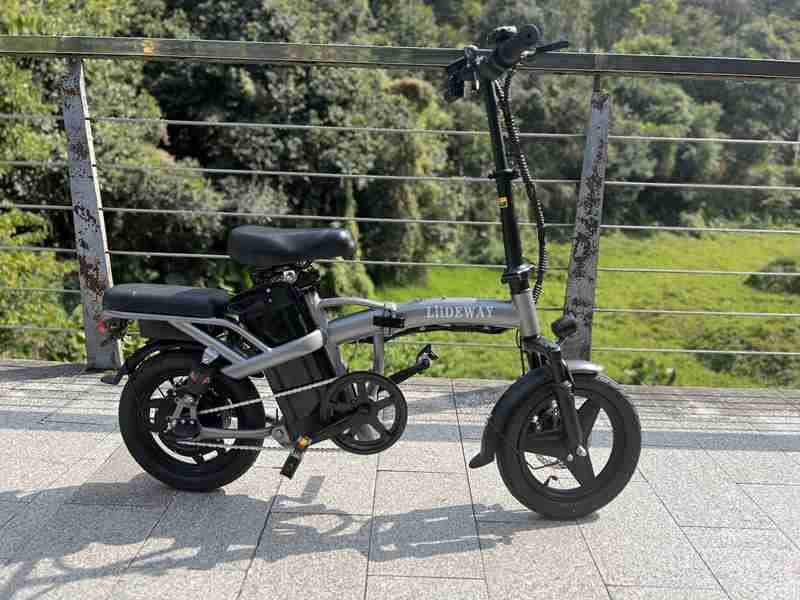 disabled electric bike