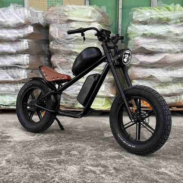 double electric bike tricycle
