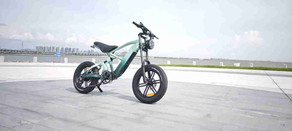 downhill electric bike