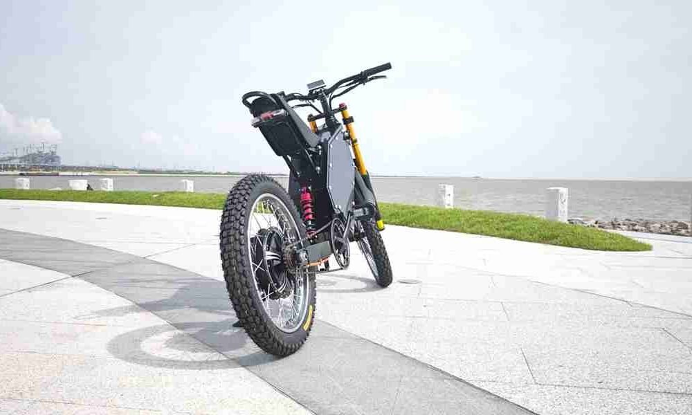 dual battery electric bike