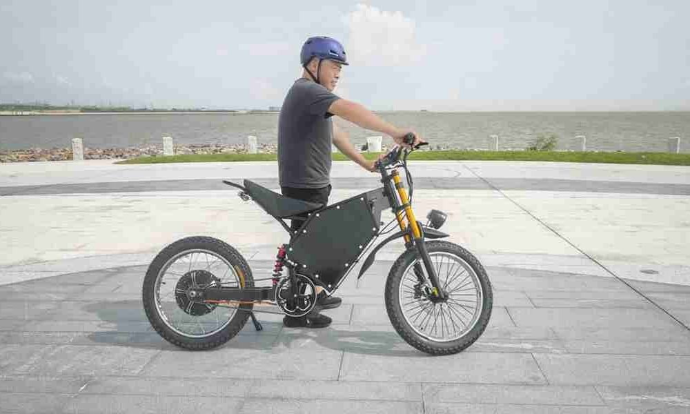 dual motor controller electric scooter bike
