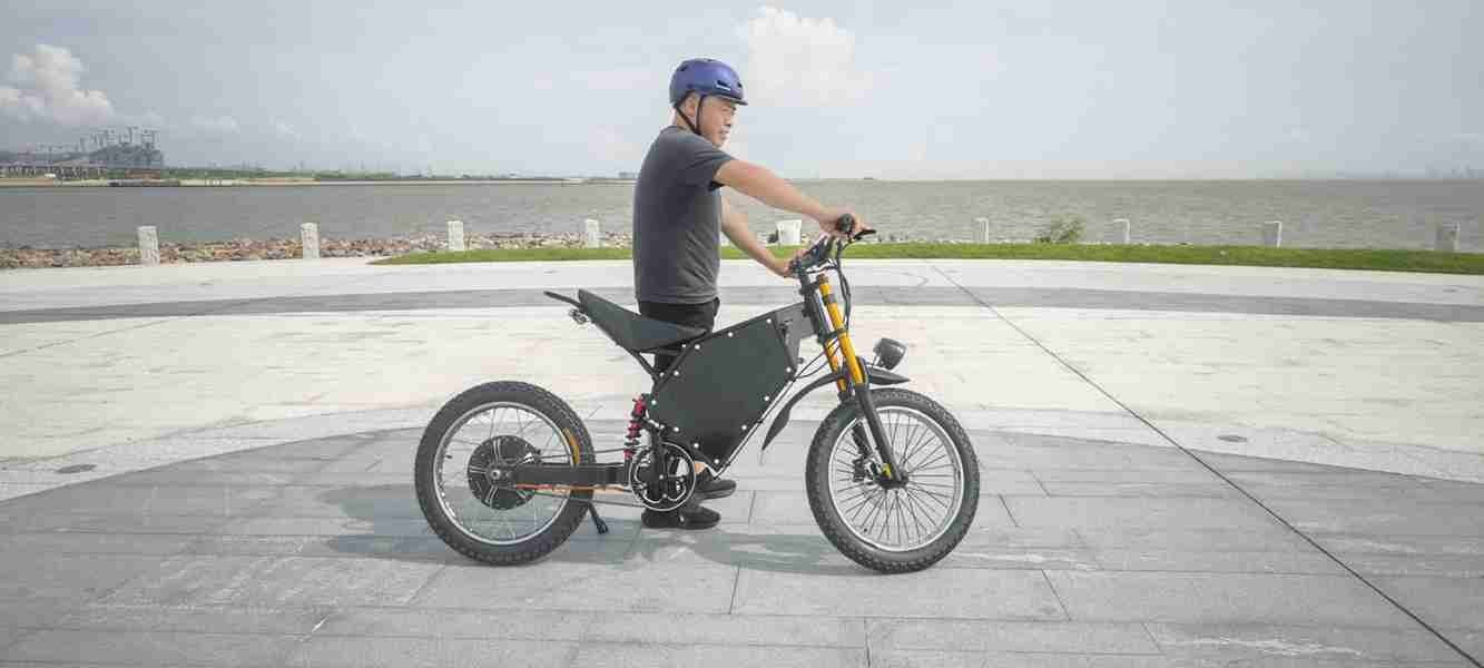 dual motor controller electric scooter bike
