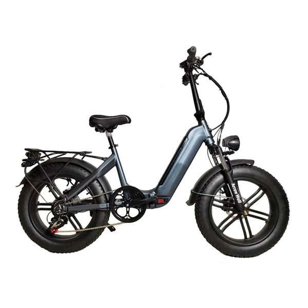 duel motor electric bike