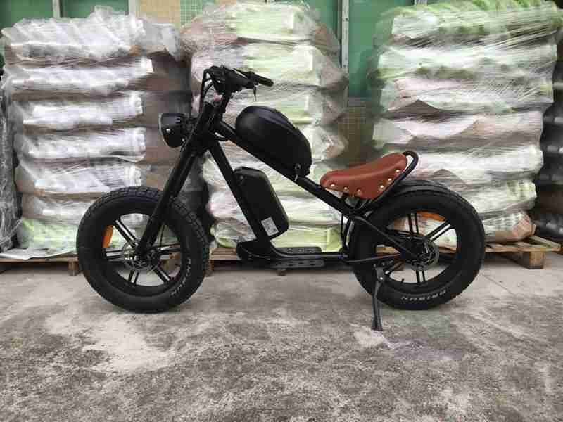 duel motor electric bike 2000w