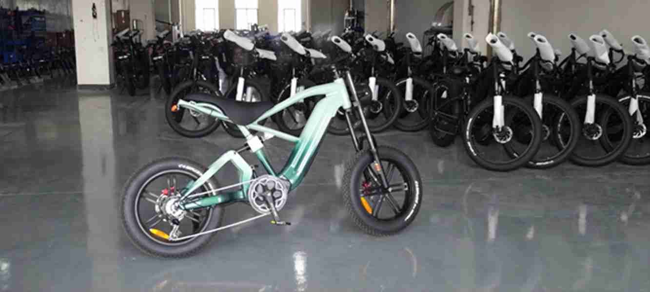 dyu electric bike
