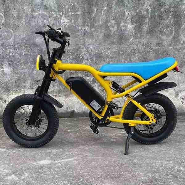 ego electric bike