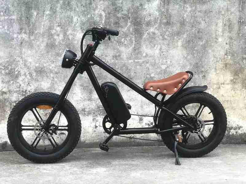 electric 20inch cargo bike
