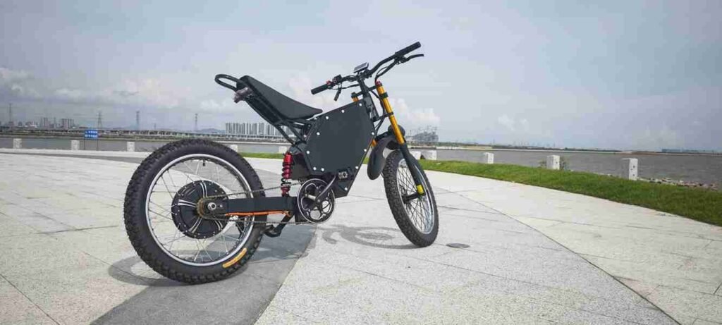 electric assist surrey bike