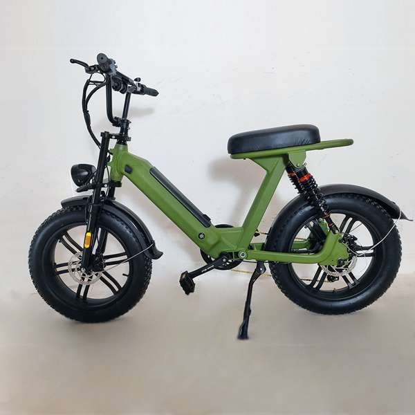 electric bike 1500